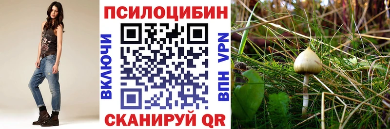 Галлюциногенные грибы Cubensis  Сыктывкар 